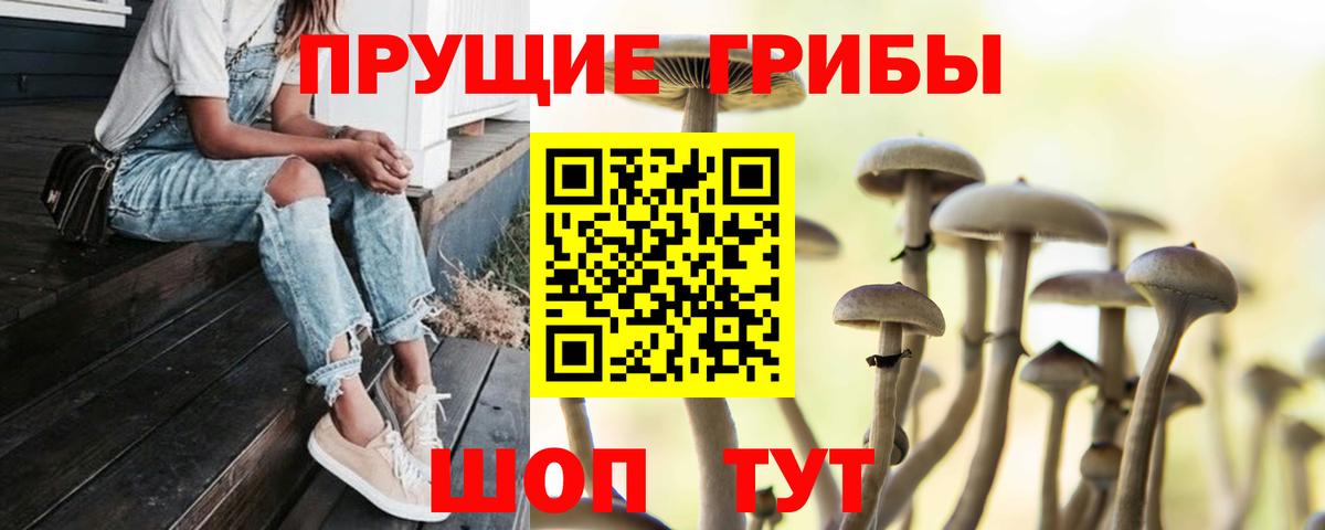 Псилоцибиновые грибы GOLDEN TEACHER Глазов