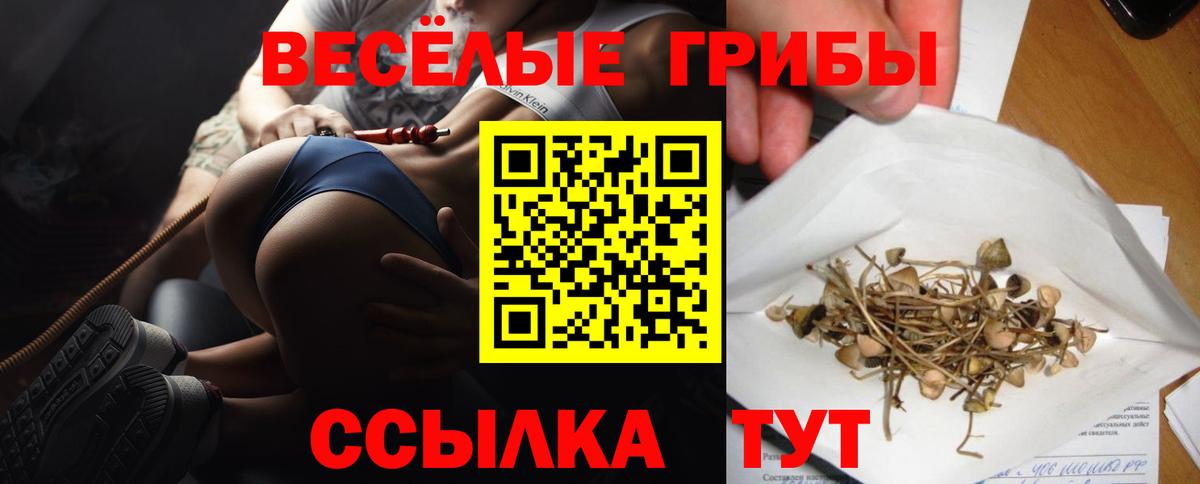 Псилоцибиновые грибы прущие грибы  Галлюциногенные грибы мицелий  Глазов  наркошоп  Вход с VPN 